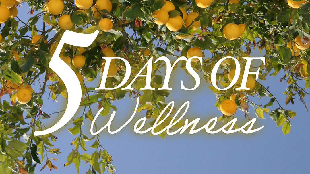 5 DAYS OF WELLNESS<br>Treat Your Skin From Within