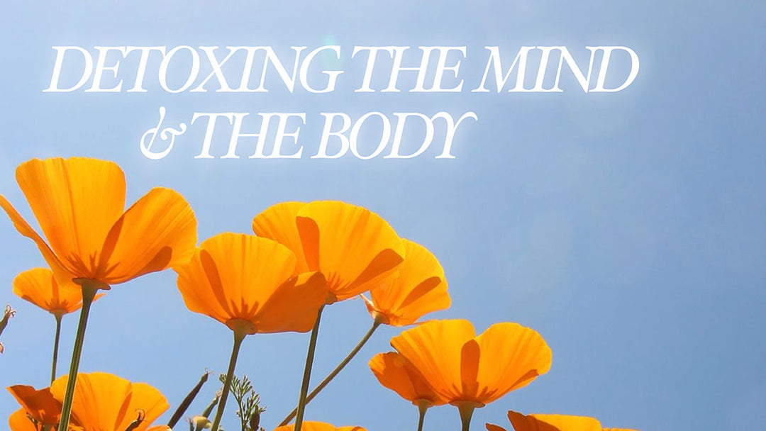 Detoxing the Mind & the Body