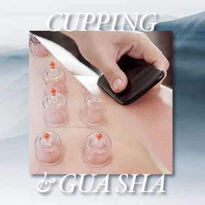 Cupping & Gua Sha Treatments